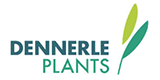 Dennerle GmbH